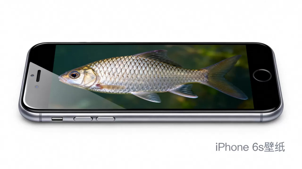 iPhone 6s高清鱼壁纸下载,iPhone 6s手机壁纸 iPhone 6s高清鱼壁纸下载,iPhone 6s手机壁纸