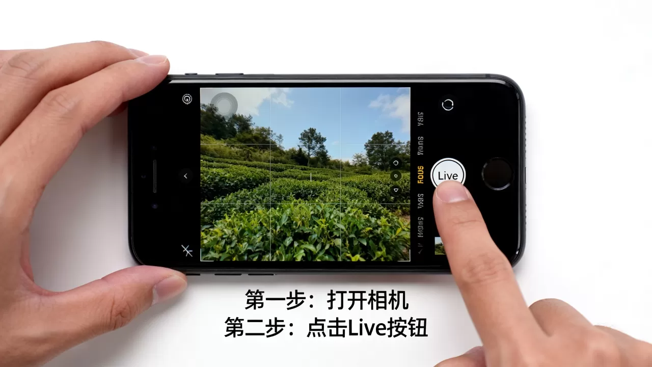 iphone7怎么用live，iphone7如何开启live照片