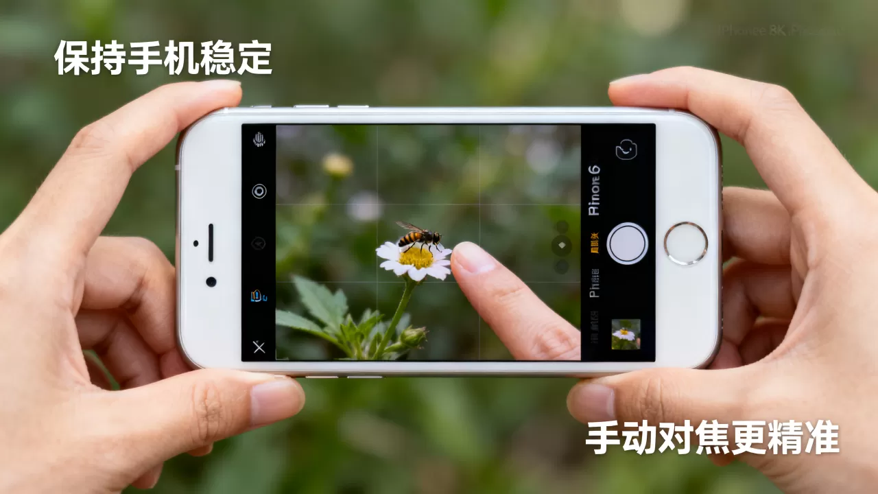 iphone6怎么拍微距？手机微距拍摄方法技巧