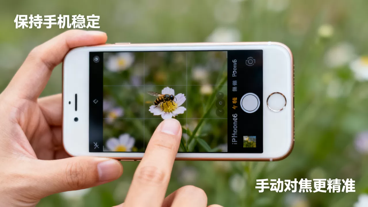 iphone6怎么拍微距？手机微距拍摄方法技巧